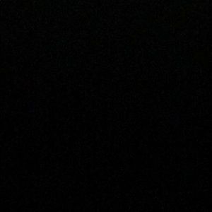 Meet your Posher, Ivy